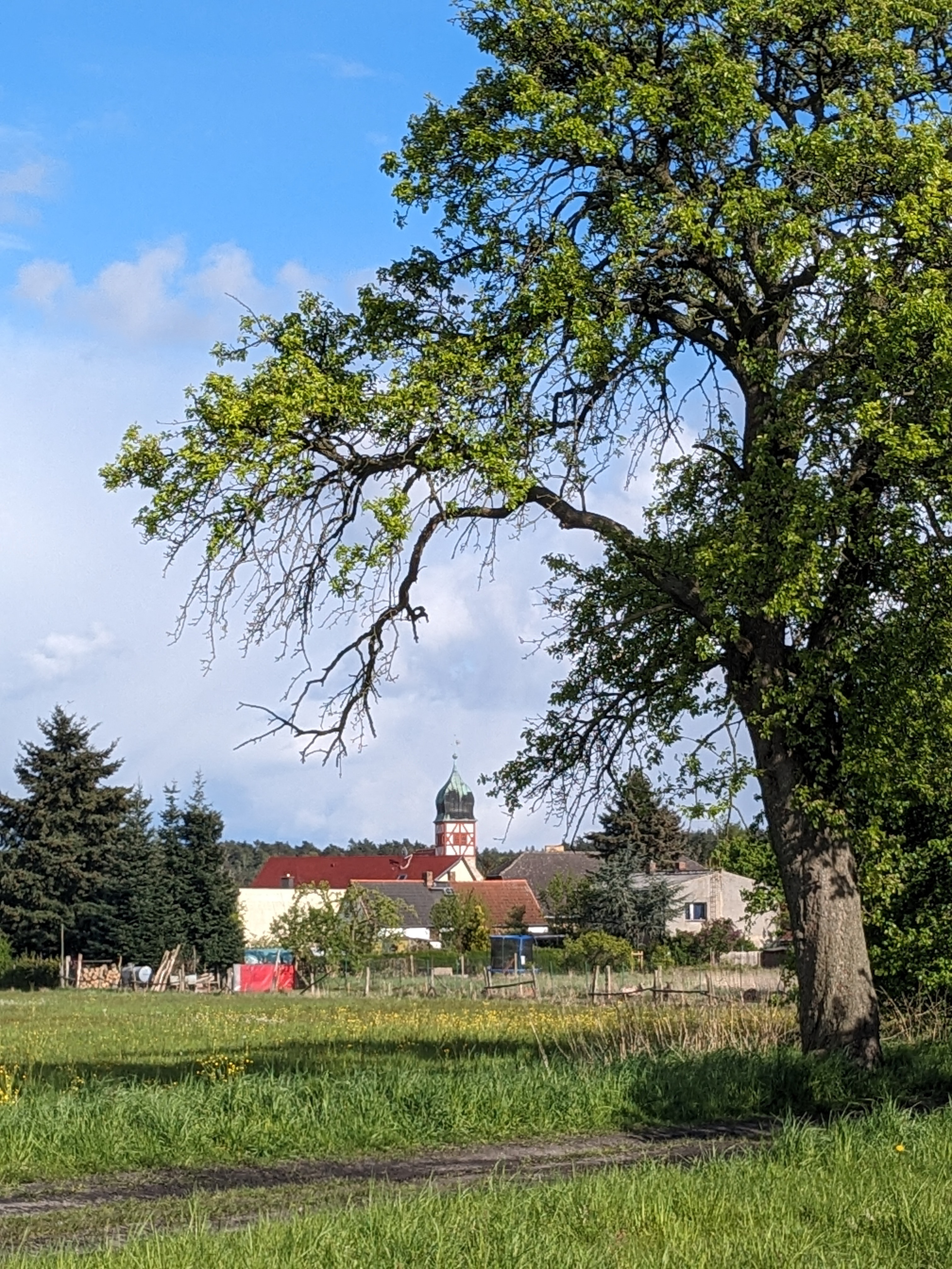 Ansicht Kirche Medewitz